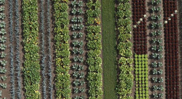 Blog Post Strip Cropping - Featured Image 1200x650 150 ppi